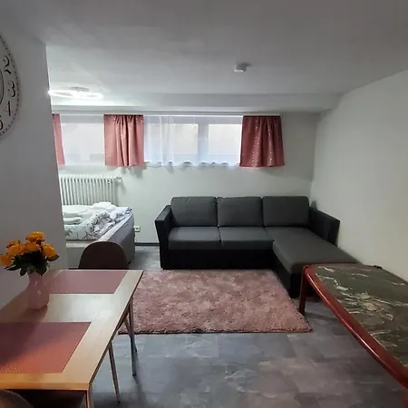 Guest house Brodovskiy-